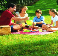 Bruny Island Berry Farm - Northern Rivers Accommodation