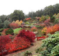 Emu Valley Rhododendron Garden - Northern Rivers Accommodation