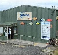 Stanley Seaquarium - Northern Rivers Accommodation