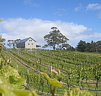 Bruny Island Premium Wines Bar and Grill - Northern Rivers Accommodation
