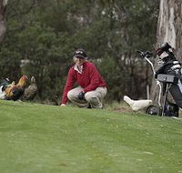 Tasmania Golf Club - The - Northern Rivers Accommodation