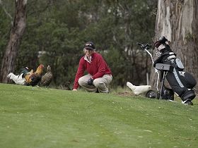 Tasmania Golf Club - The - Northern Rivers Accommodation 0