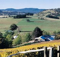Freycinet Vineyards Pty Ltd - Northern Rivers Accommodation
