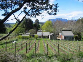 Wilmot TAS Northern Rivers Accommodation
