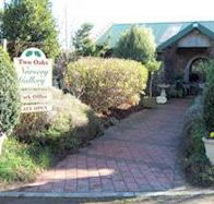 Two Oaks Nursery Gallery and Cafe - Northern Rivers Accommodation