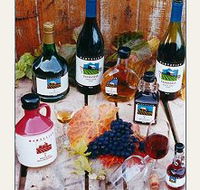 Hartzview Vineyard - Northern Rivers Accommodation