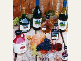 Hartzview Vineyard - Northern Rivers Accommodation 0