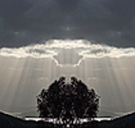 aart. Gallery of Fine Art - Northern Rivers Accommodation