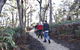 Bridport Walking Track - thumb 0