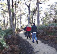 Bridport Walking Track - Northern Rivers Accommodation