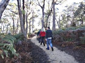 Bridport Walking Track - Northern Rivers Accommodation 0
