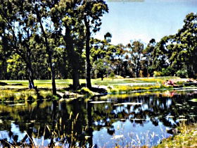 Scotchtown TAS Northern Rivers Accommodation