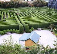 Westbury Maze and Tea Room - Northern Rivers Accommodation