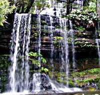 Mt Field National Park - Northern Rivers Accommodation