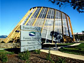Forest EcoCentre - Northern Rivers Accommodation 0