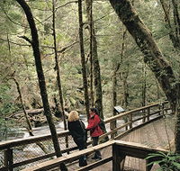 Franklin River Nature Trail - Northern Rivers Accommodation