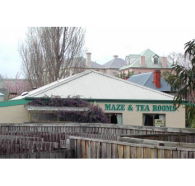 Richmond Maze and Tea Rooms - Northern Rivers Accommodation