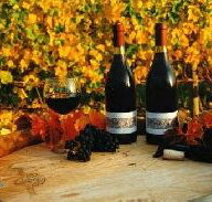 Craigow Vineyard - Northern Rivers Accommodation
