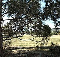 Cygnet Public Golf Course - Northern Rivers Accommodation