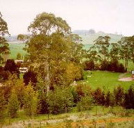 The Tasmanian Arboretum - Northern Rivers Accommodation