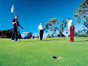 Waratah TAS Northern Rivers Accommodation
