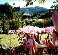 Blueberry Cottage Open Gardens - Northern Rivers Accommodation