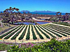 Kate's Berry Farm - Northern Rivers Accommodation 0