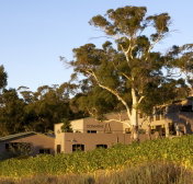 Domaine A / Stoney Vineyard - Northern Rivers Accommodation