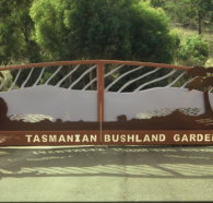Tasmanian Bushland Garden - Northern Rivers Accommodation