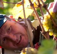Puddleduck Vineyard - Northern Rivers Accommodation
