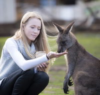 Bonorong Wildlife Sanctuary - Northern Rivers Accommodation