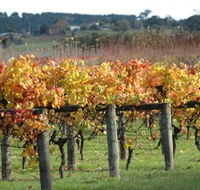 Apsley Gorge Vineyard - Northern Rivers Accommodation