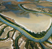 The Wilderness Gallery - Northern Rivers Accommodation
