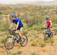 Araluen Mountain Bike Trails - Northern Rivers Accommodation
