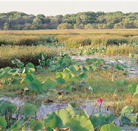 Fogg Dam Conservation Reserve - Northern Rivers Accommodation