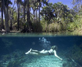 Bitter Springs - Northern Rivers Accommodation 0