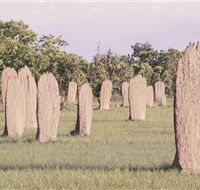Magnetic Termite Mounds - Northern Rivers Accommodation
