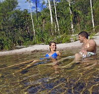 Tjaynera/Sandy Creek Falls - Northern Rivers Accommodation