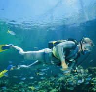 Kirra Reef Dive Site - Northern Rivers Accommodation