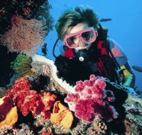 Cook Island Dive Site - Northern Rivers Accommodation