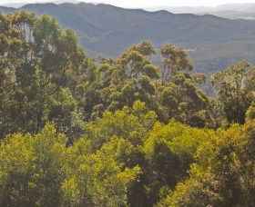 Curramore QLD Northern Rivers Accommodation