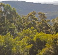 Conondale National Park - Northern Rivers Accommodation