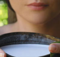 Ikatan Day Spa - Northern Rivers Accommodation