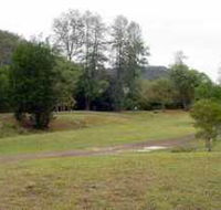 Brooyar State Forest - Northern Rivers Accommodation
