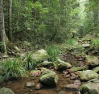 Amamoor State Forest - Northern Rivers Accommodation