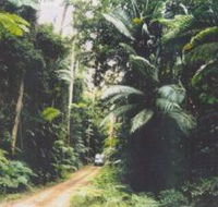 Conondale Great Walk - Northern Rivers Accommodation