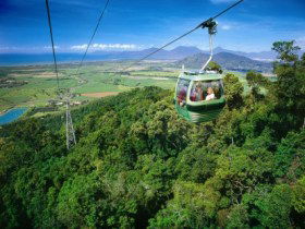 Skyrail Rainforest Cableway - Northern Rivers Accommodation 0