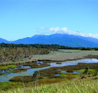 Eubenangee Swamp National Park - Northern Rivers Accommodation
