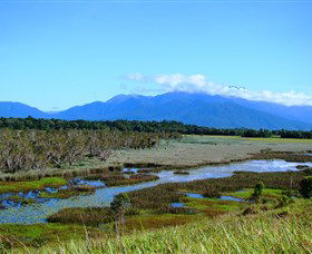 Eubenangee Swamp National Park - Northern Rivers Accommodation 0
