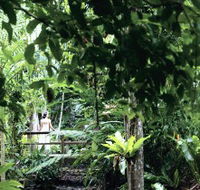 Flecker Botanic Gardens - Northern Rivers Accommodation